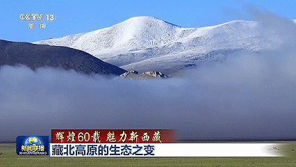 微信图片_20250807102143.gif