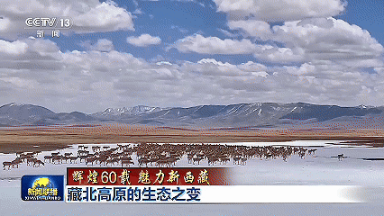 微信图片_20250807102148.gif