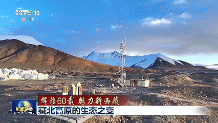 微信图片_20250807102146.gif