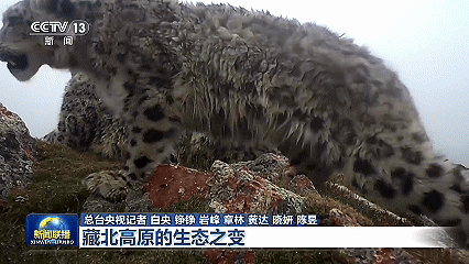 微信图片_20250807102151.gif