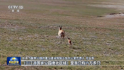 微信图片_20250807102154.gif